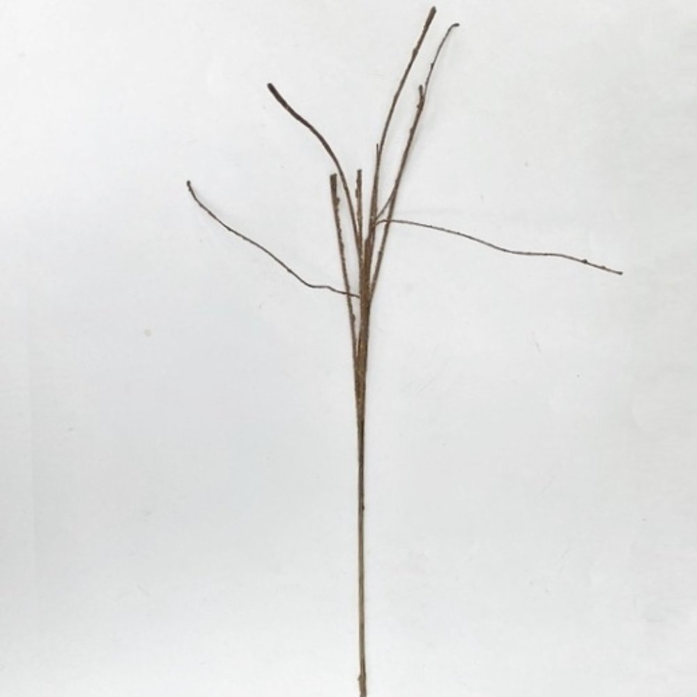 Rustic wired branches - Picture 3 of 8